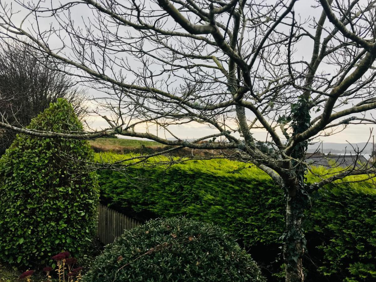 Hill Sea View Cottage Glengarriff Dış mekan fotoğraf